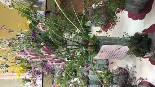 Exposition Les Floralies